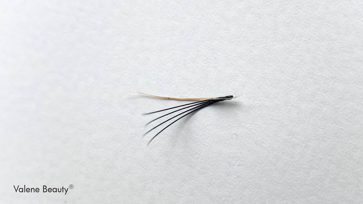 Formation: La Rétention Parfaite Des Extensions De Cils