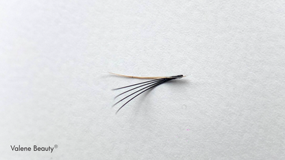 Formation: La Rétention Parfaite Des Extensions De Cils